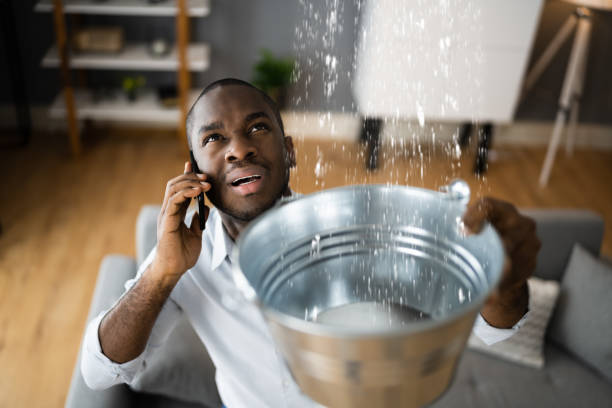 North Plainfield, NJ Water damage restoration Pros