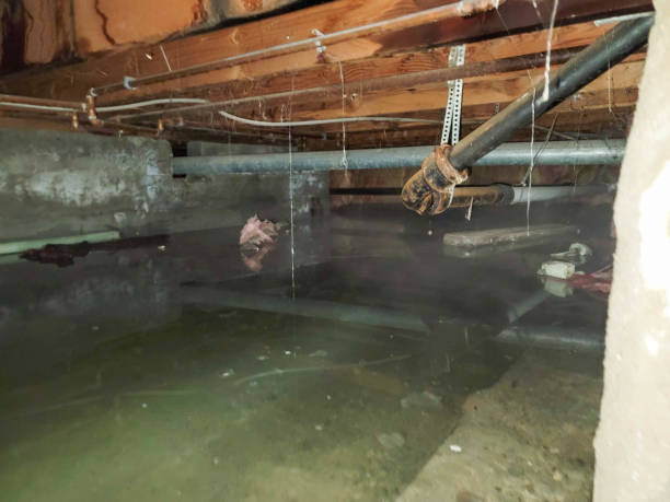 Best Sewage cleanup and water damage restoration  in North Plainfield, NJ