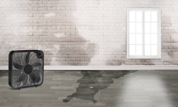 Best Residential water damage restoration  in North Plainfield, NJ